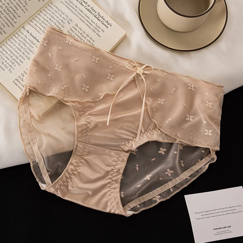 Translucent Lace Panties