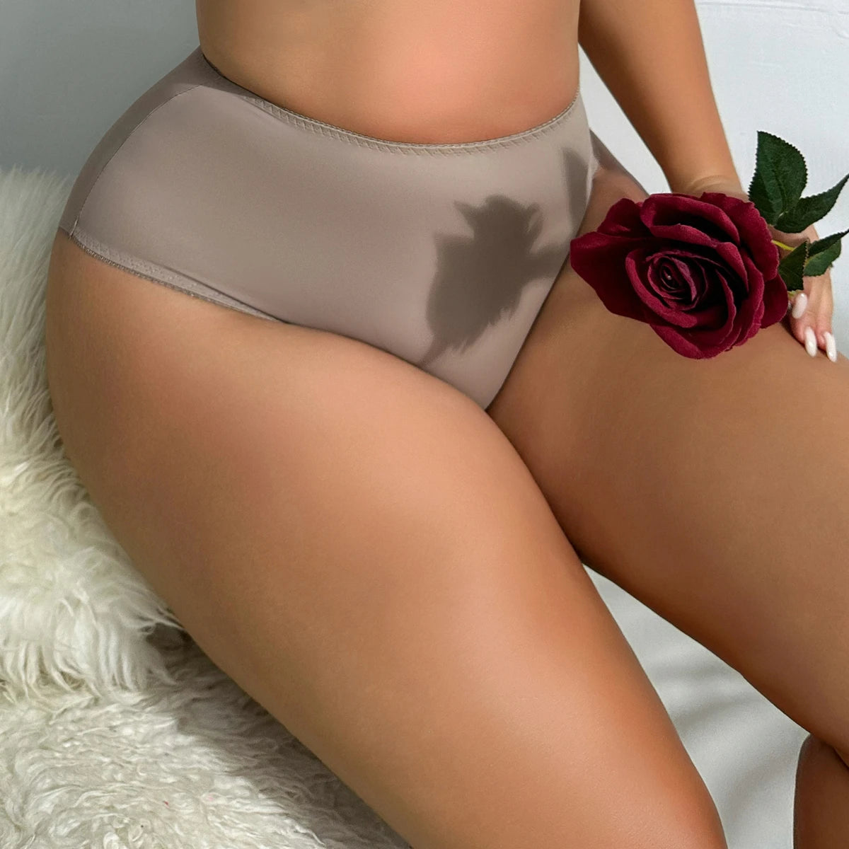 Control Top Plus Size Panties