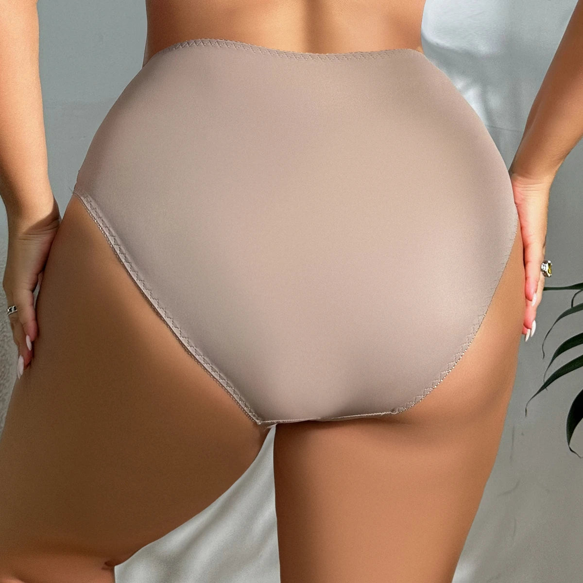 Control Top Plus Size Panties
